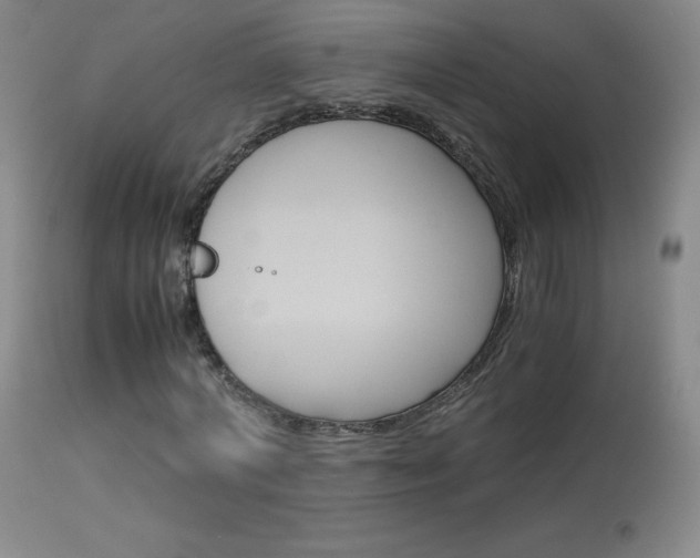 X0000114140772200910081025