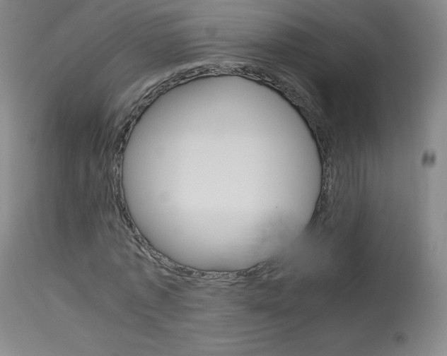 X0000114140773200910081025