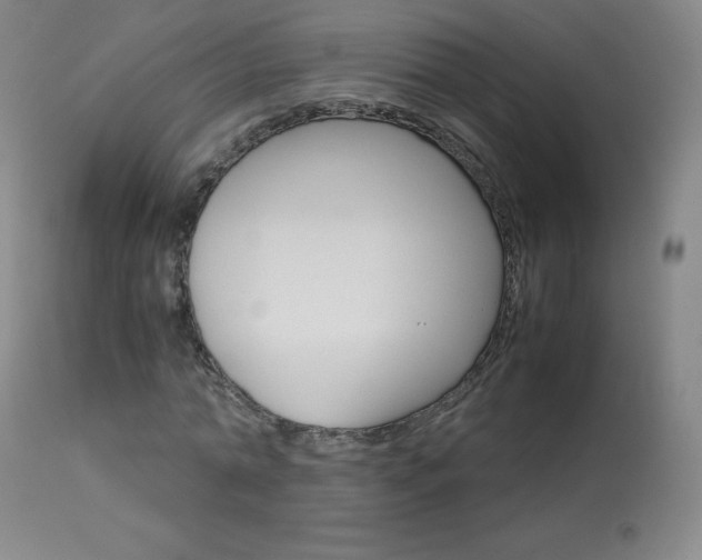 X0000114140774200910081025