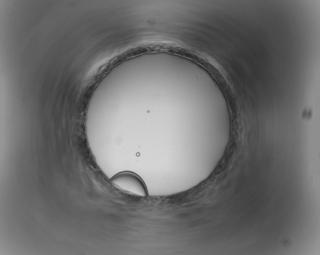 X0000114140775200910081025