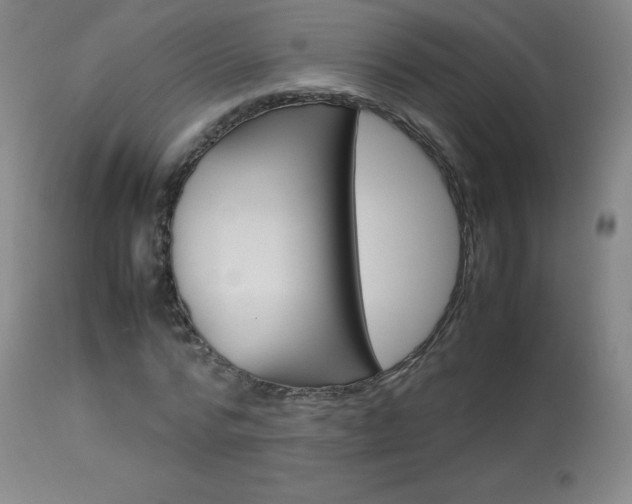 X0000114140776200910081025