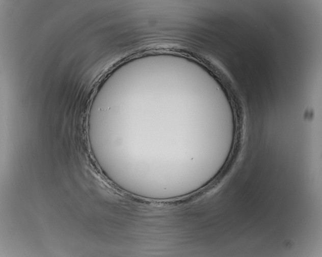 X0000114140777200910081025