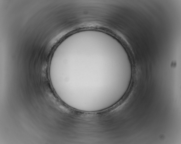X0000114140778200910081025