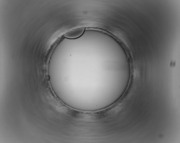 X0000114140781200910081025