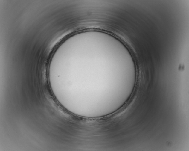 X0000114140782200910081025