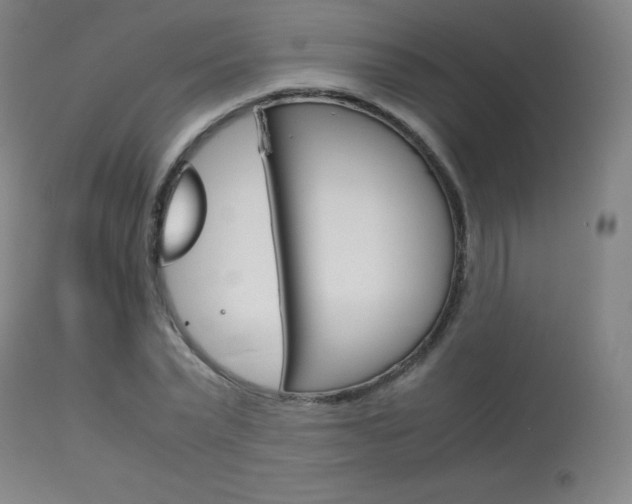 X0000114140783200910081025
