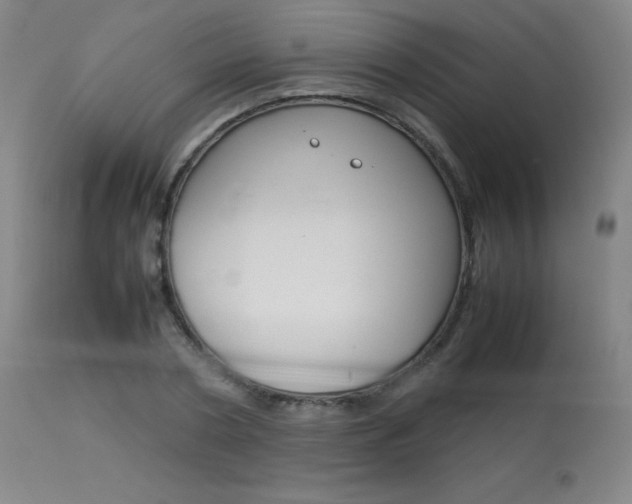 X0000114140786200910081025