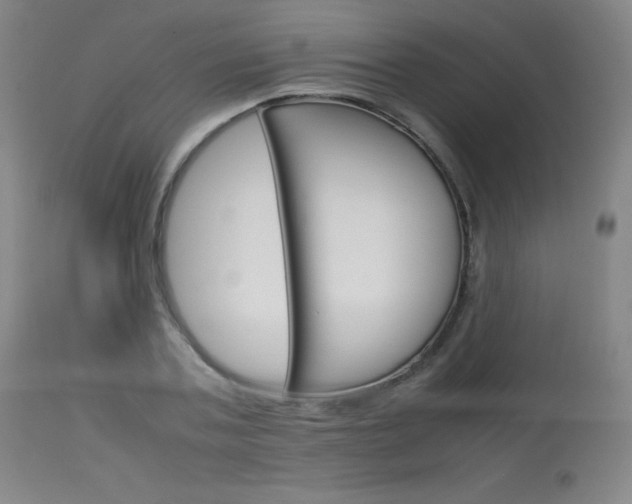 X0000114140787200910081025