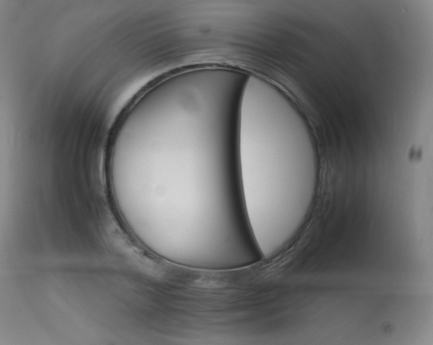 X0000114140788200910081025