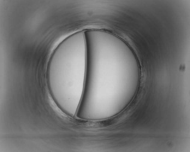 X0000114140795200910081024