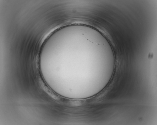 X0000114140798200910081024