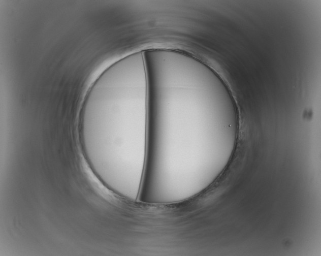 X0000114140803200910081024