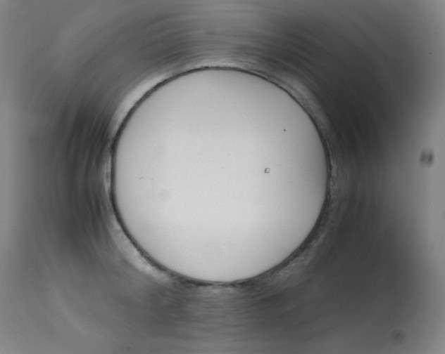 X0000114140804200910081024