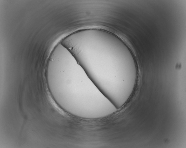 X0000114140805200910081024