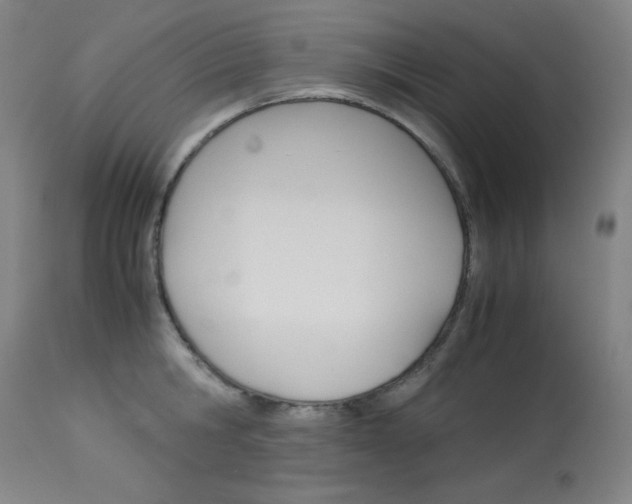 X0000114140806200910081024
