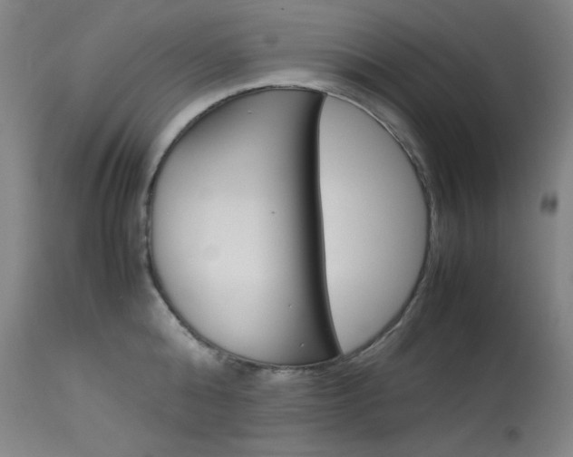 X0000114140808200910081024