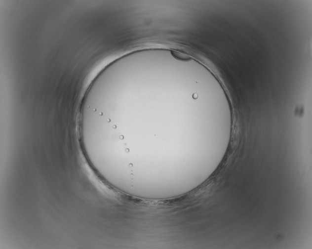 X0000114140811200910081024