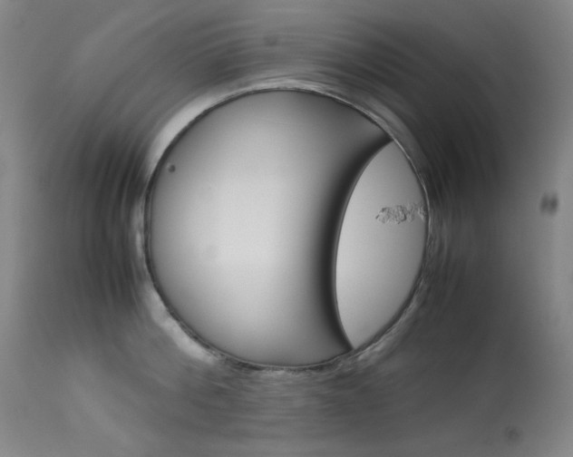 X0000114140812200910081024