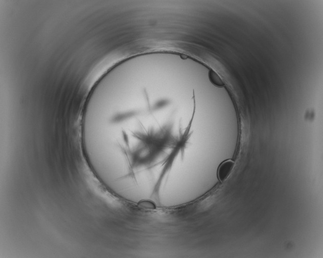 X0000114140814200910081024