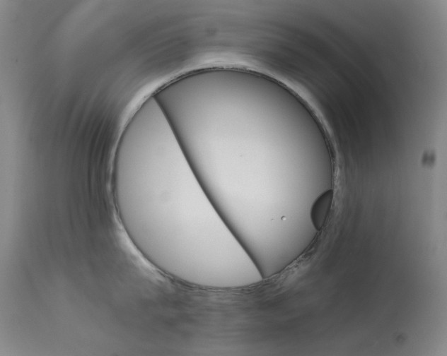 X0000114140815200910081024