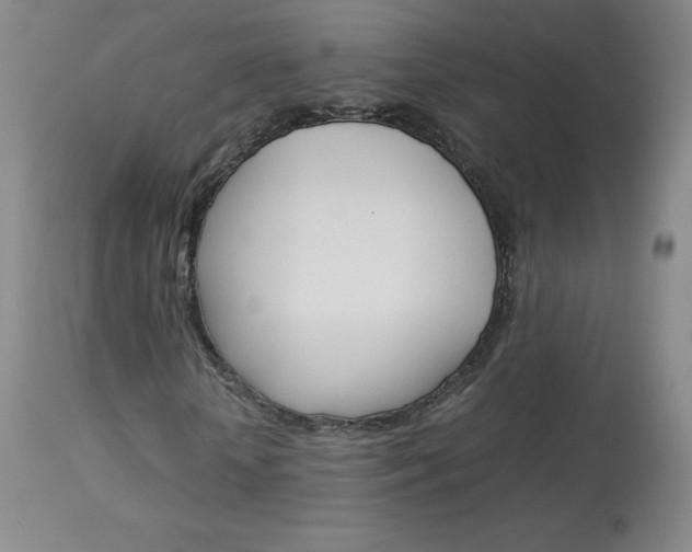 X0000114140818200910081024