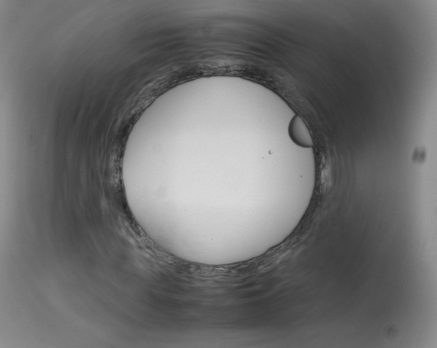 X0000114140819200910081024