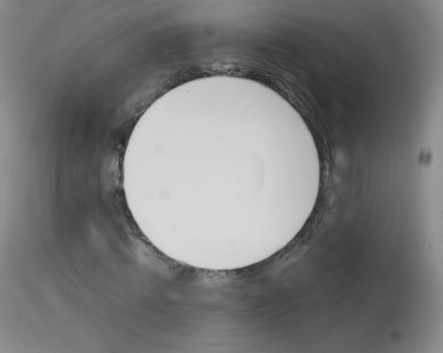 X0000114140820200910081024