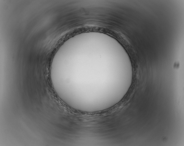 X0000114140821200910081024