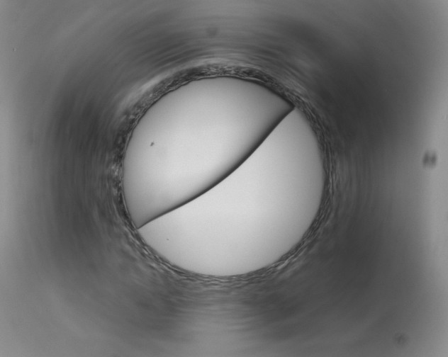 X0000114140822200910081024