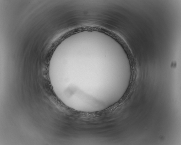 X0000114140823200910081024