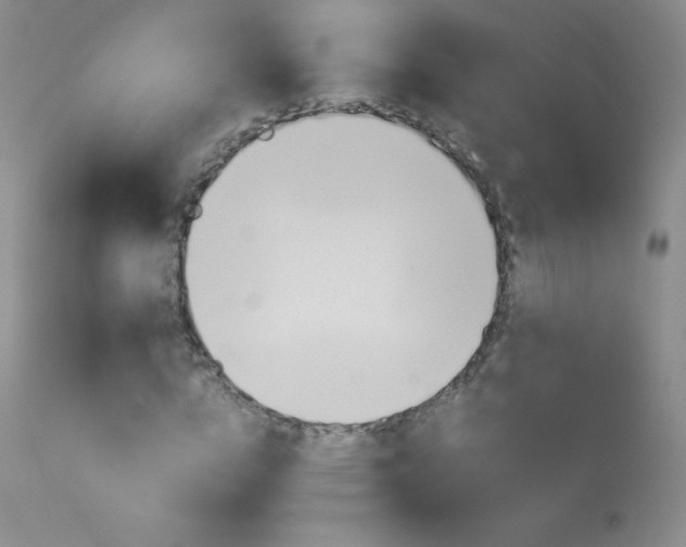 X0000114140824200910081024