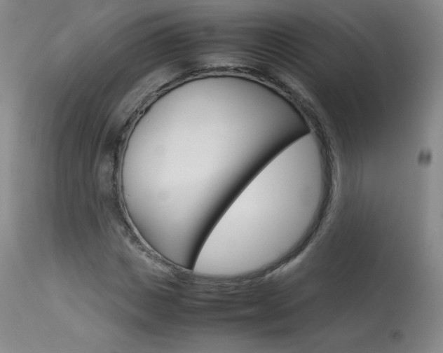 X0000114140825200910081024