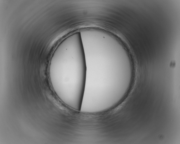 X0000114140826200910081024