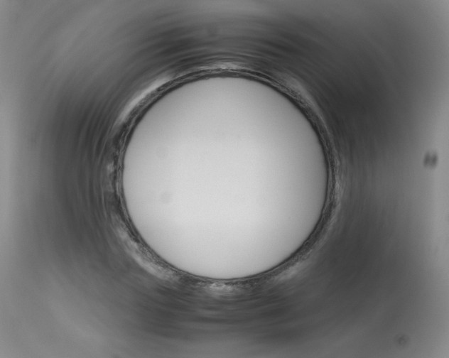 X0000114140827200910081024