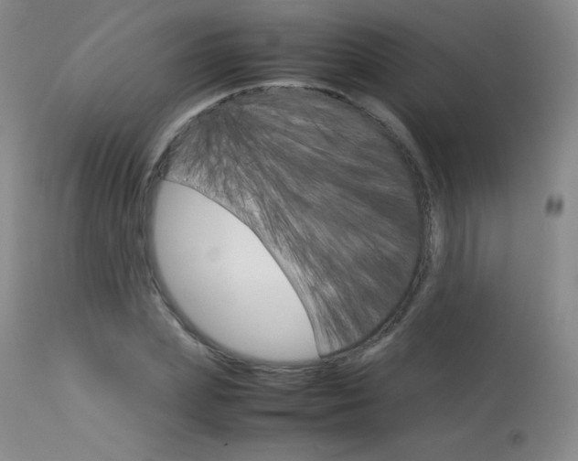 X0000114140831200910081024
