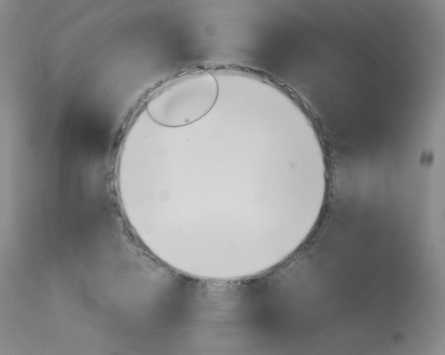 X0000114140832200910081024