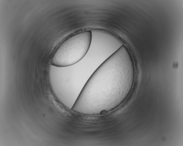 X0000114140833200910081024