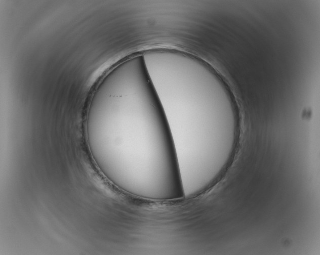X0000114140834200910081024