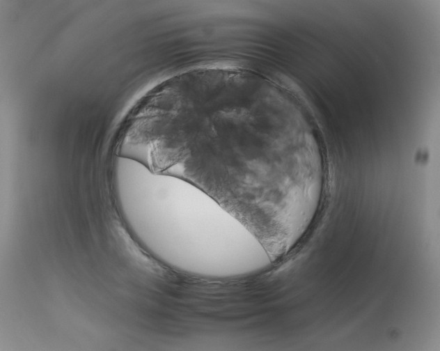 X0000114140835200910081024