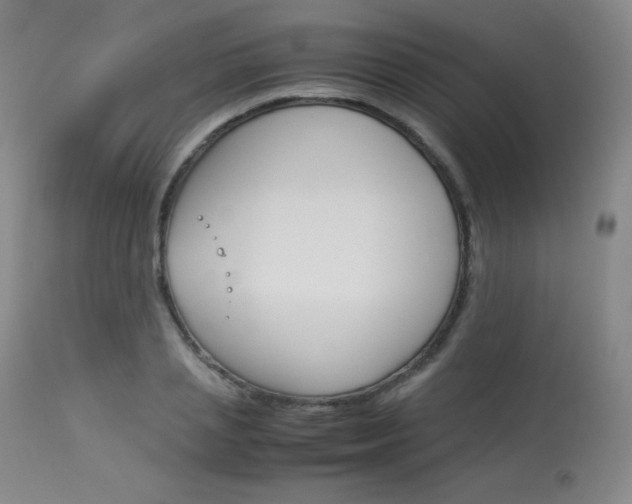 X0000114140837200910081024