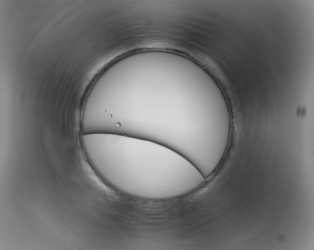 X0000114140839200910081024