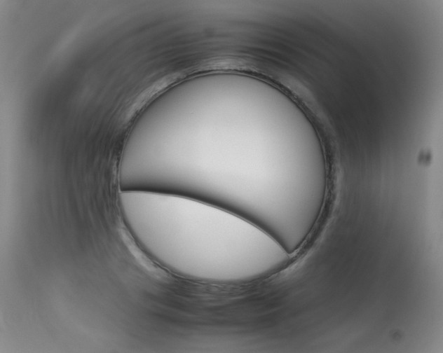 X0000114140841200910081024