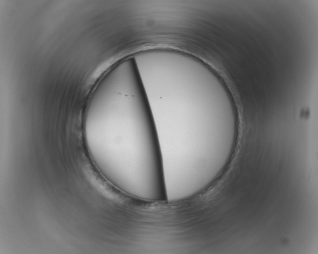 X0000114140842200910081024