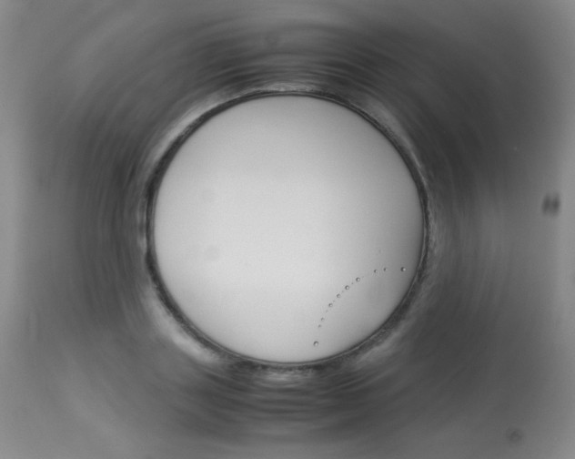 X0000114140843200910081024