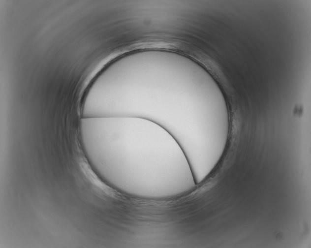 X0000114140844200910081024