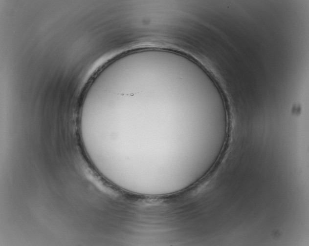 X0000114140846200910081024