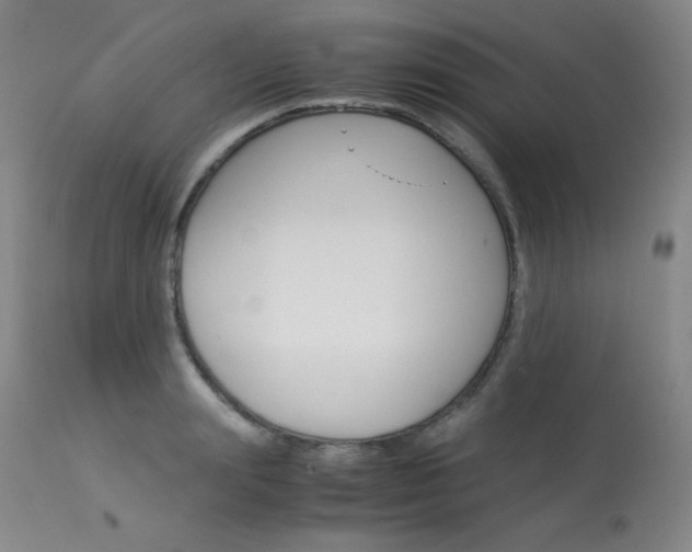 X0000114140847200910081024