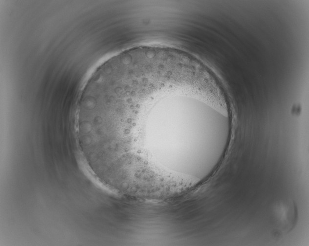 X0000114140848200910081024