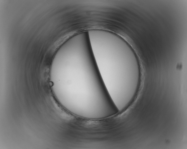 X0000114140849200910081024