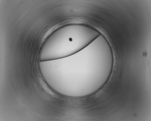 X0000114140850200910081024
